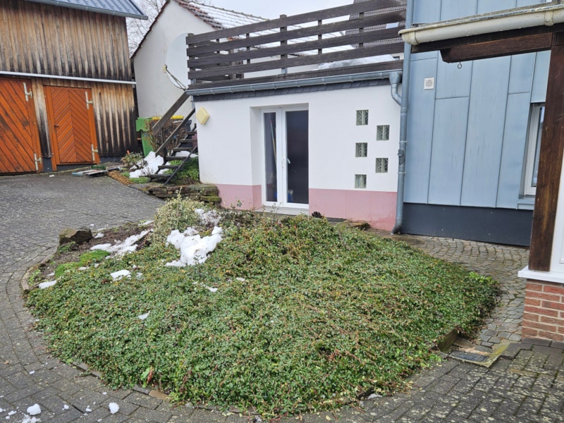 Grünes Beet in der Einfahrt mit eingeschränktem Wendekreis
