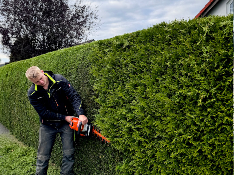Mitarbeiter beim fachgerechten Schneiden einer Hecke